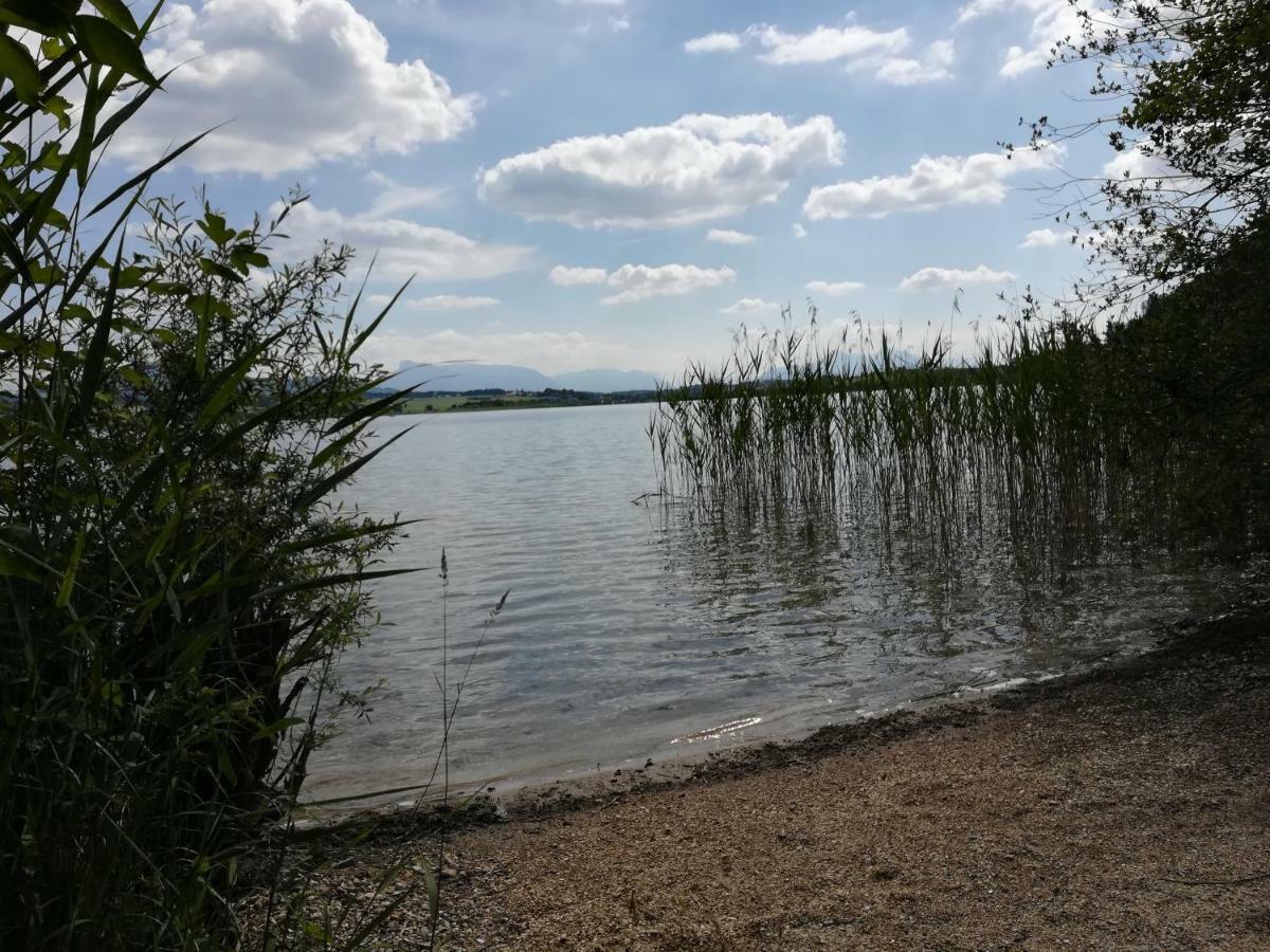 Am See 90 Seekirchen am Wallersee Esterno foto