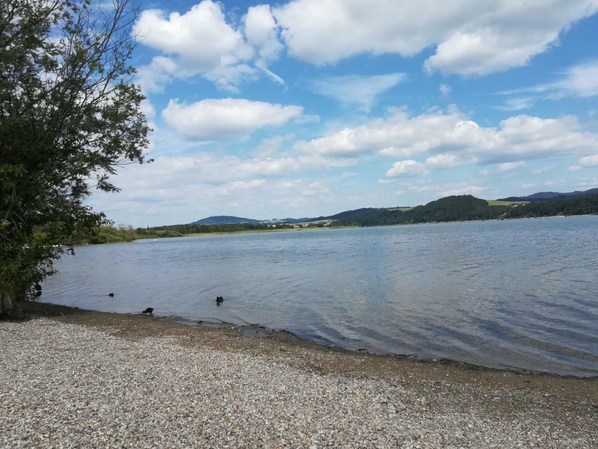Am See 90 Seekirchen am Wallersee Esterno foto
